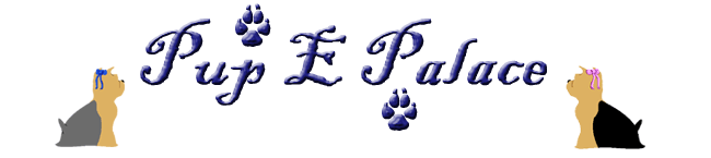 Pup E Palace-AKC Yorkie Pups